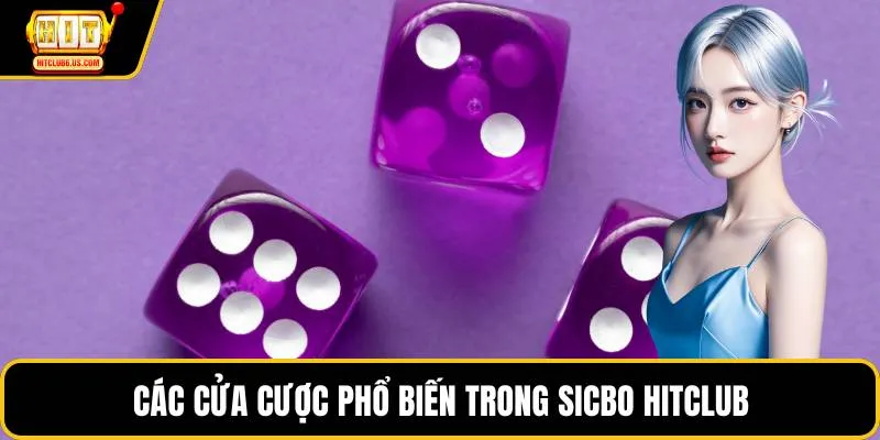 Các cửa cược phổ biến trong sicbo HITCLUB