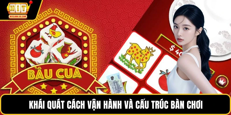 Khái quát cách vận hành và cấu trúc bàn chơi