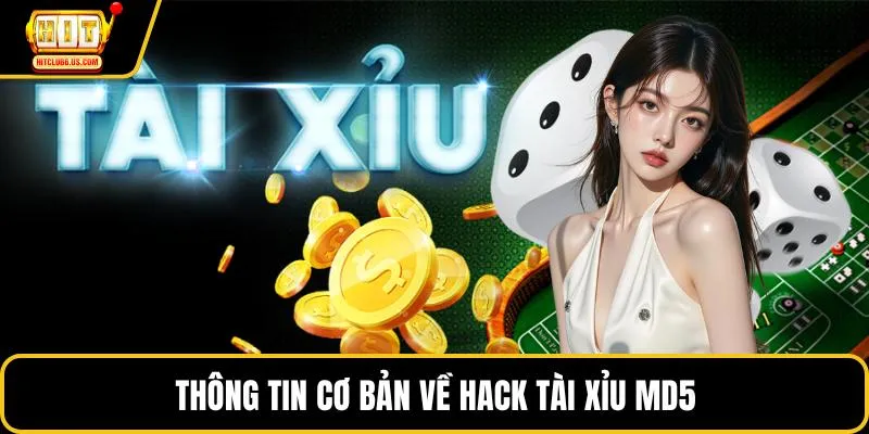 Thông tin cơ bản về hack tài xỉu MD5